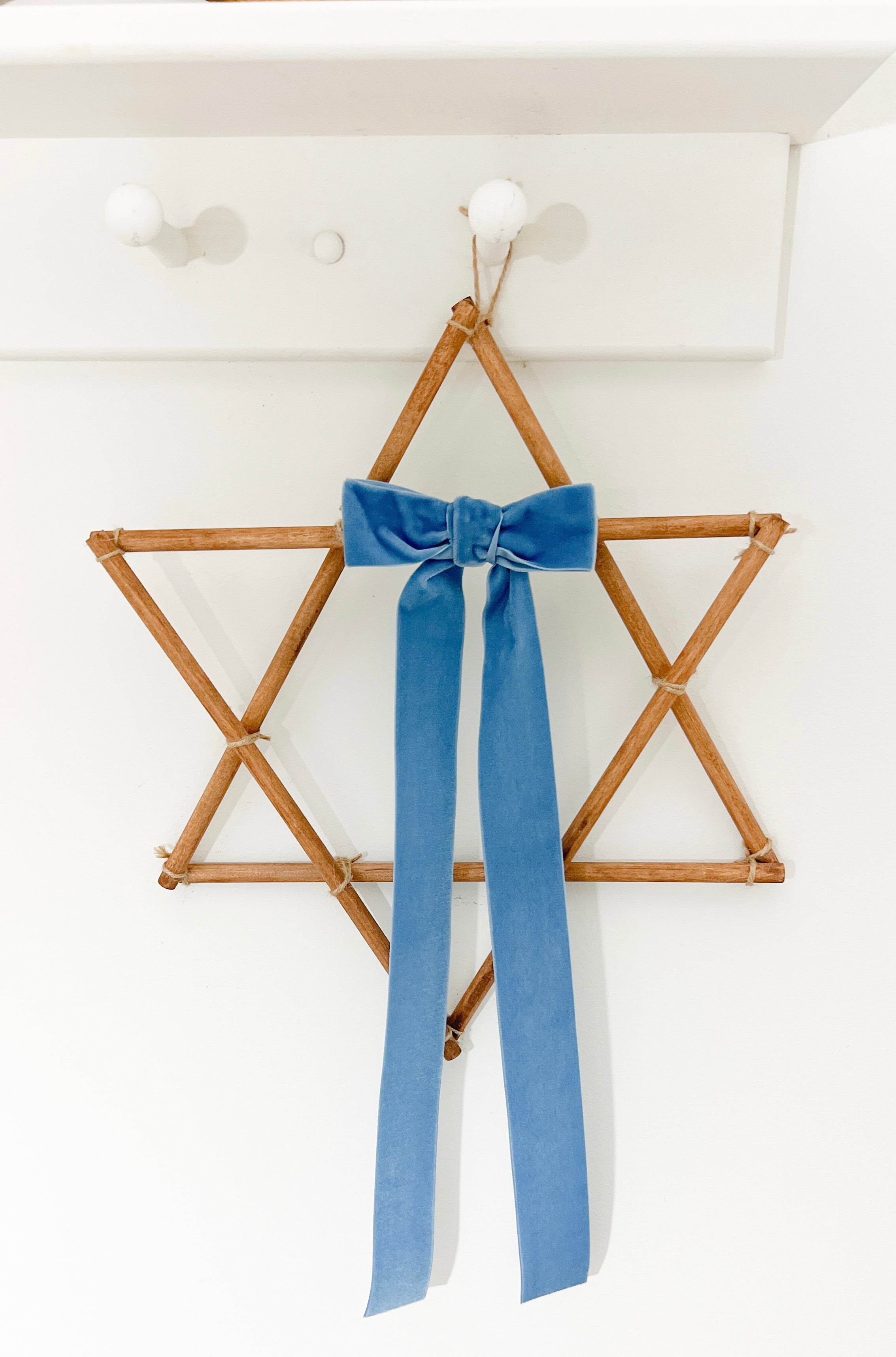 Star of David Botanical-Stained, Jewish Holiday Decoration - Peace Love Light Shop
