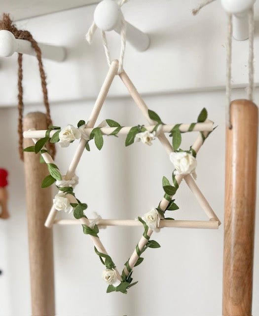Star of David Botanical- Natural, Jewish Holiday Decoration, Multiple Options Available