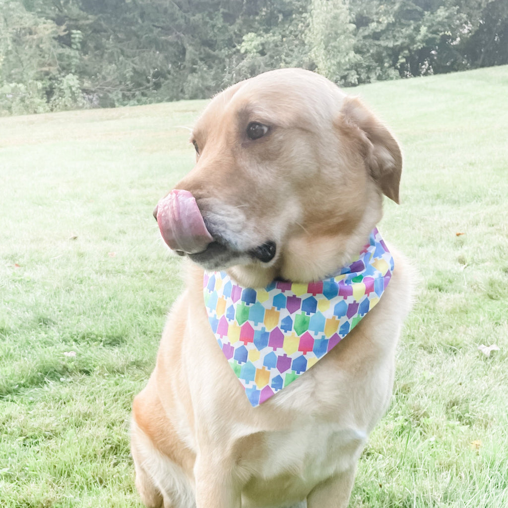 Hanukkah Reversible Dog Bandana- Peace Love Light Shop