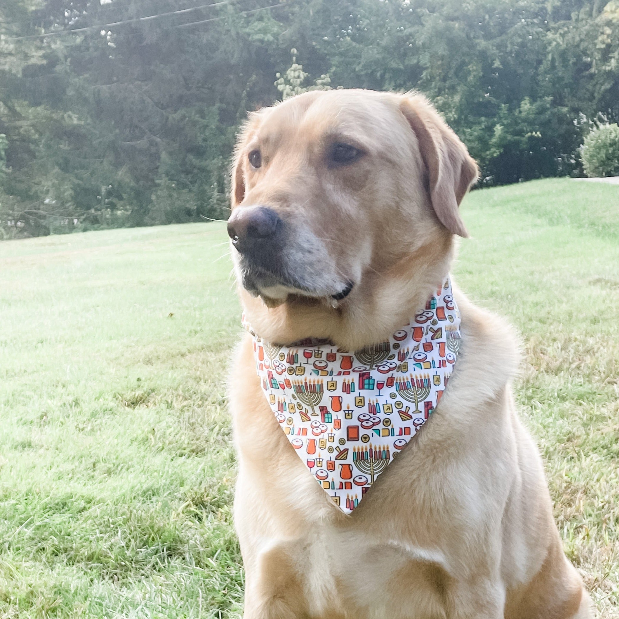 Hanukkah Reversible Dog Bandana- Peace Love Light Shop
