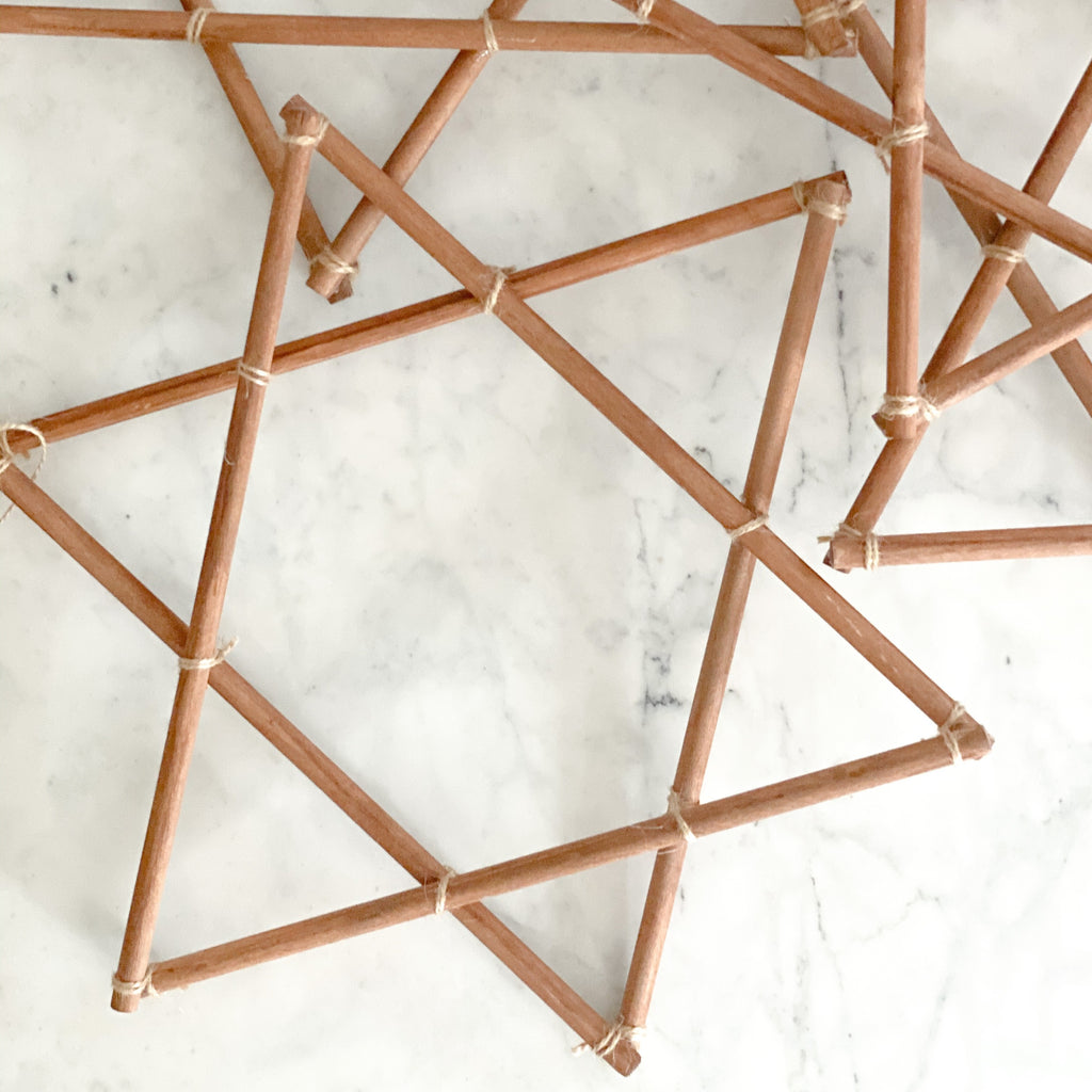 Star of David botanical, Hanukkah decoration- Peace Love Light Shop