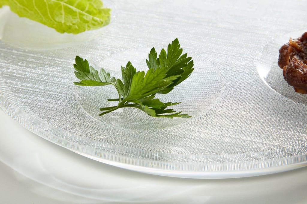 Modern Seder Plate- Silver or Translucent - Peace Love Light Shop