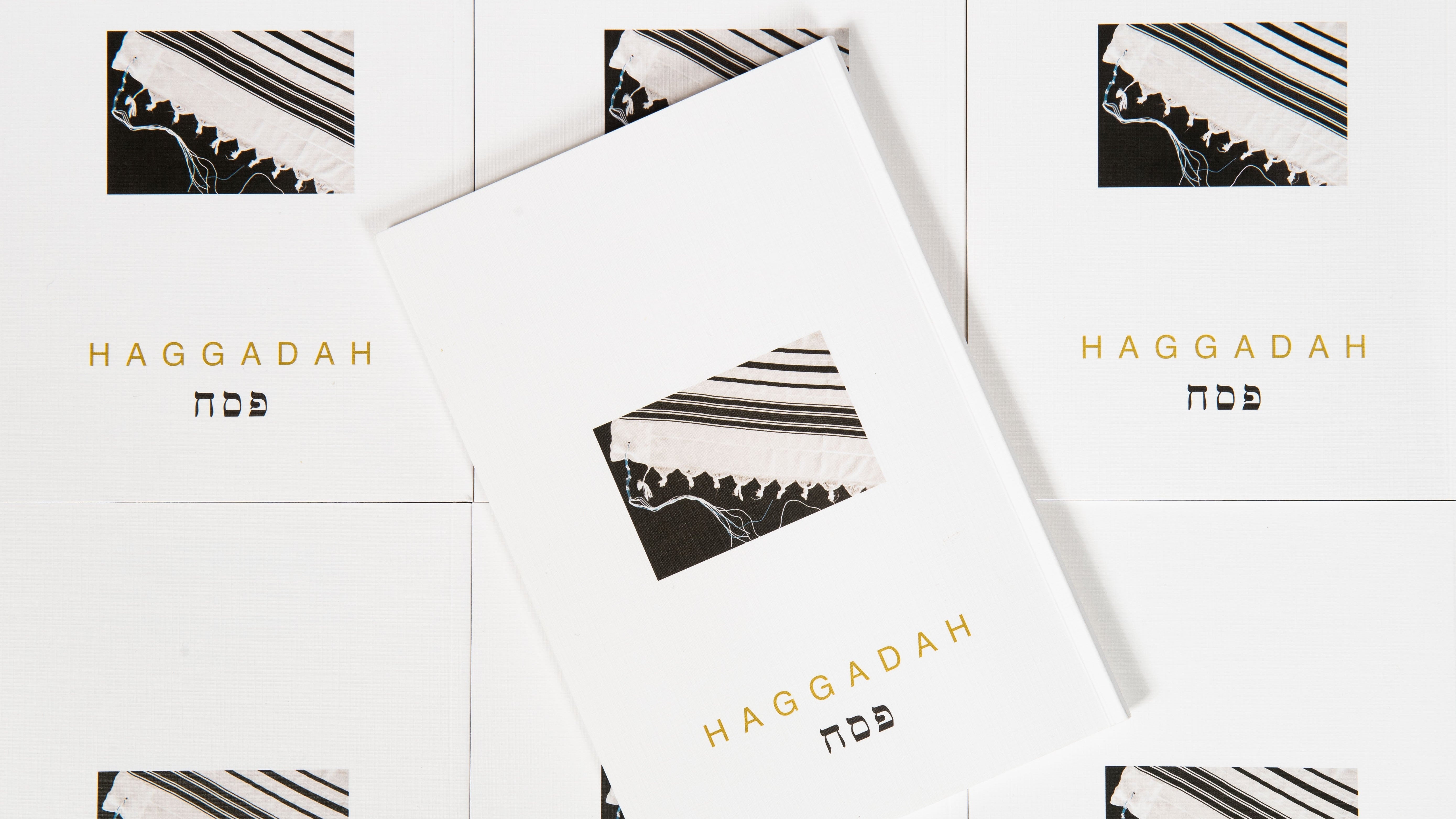 Passover Haggadah- Peace Love Light Shop