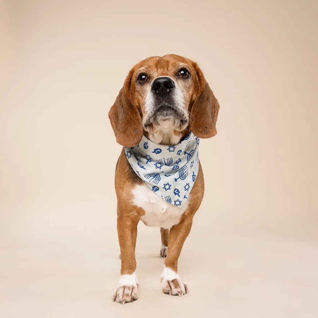 Hanukkah dog bandana- Peace Love Light Shop