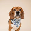 Hanukkah dog bandana- Peace Love Light Shop