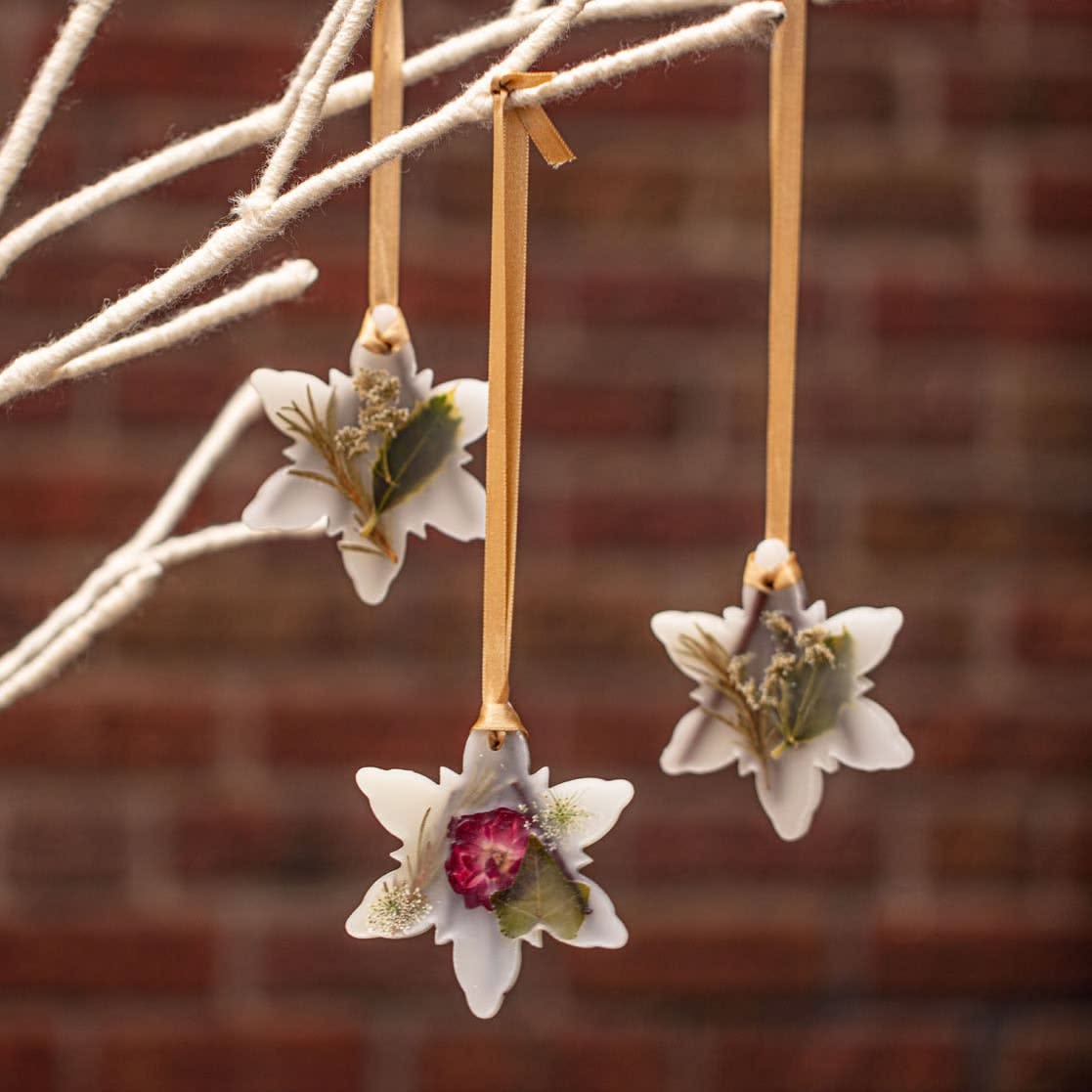 Snowflake, Star of David Sachet, Ornament- Spicy Apple or Forest