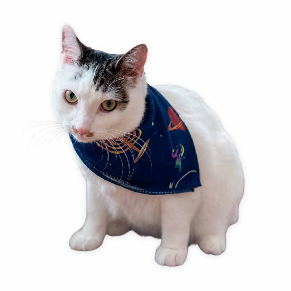 Hanukkah Space Dog Bandana- Peace Love Light Shop