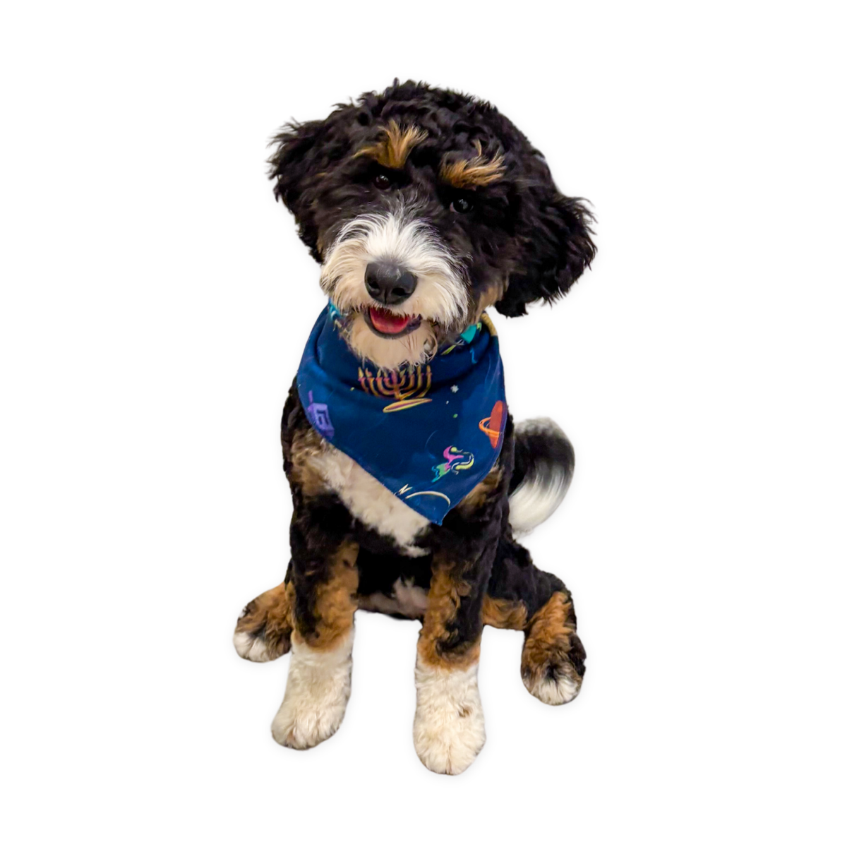 Hanukkah Space Dog Bandana- Peace Love Light Shop