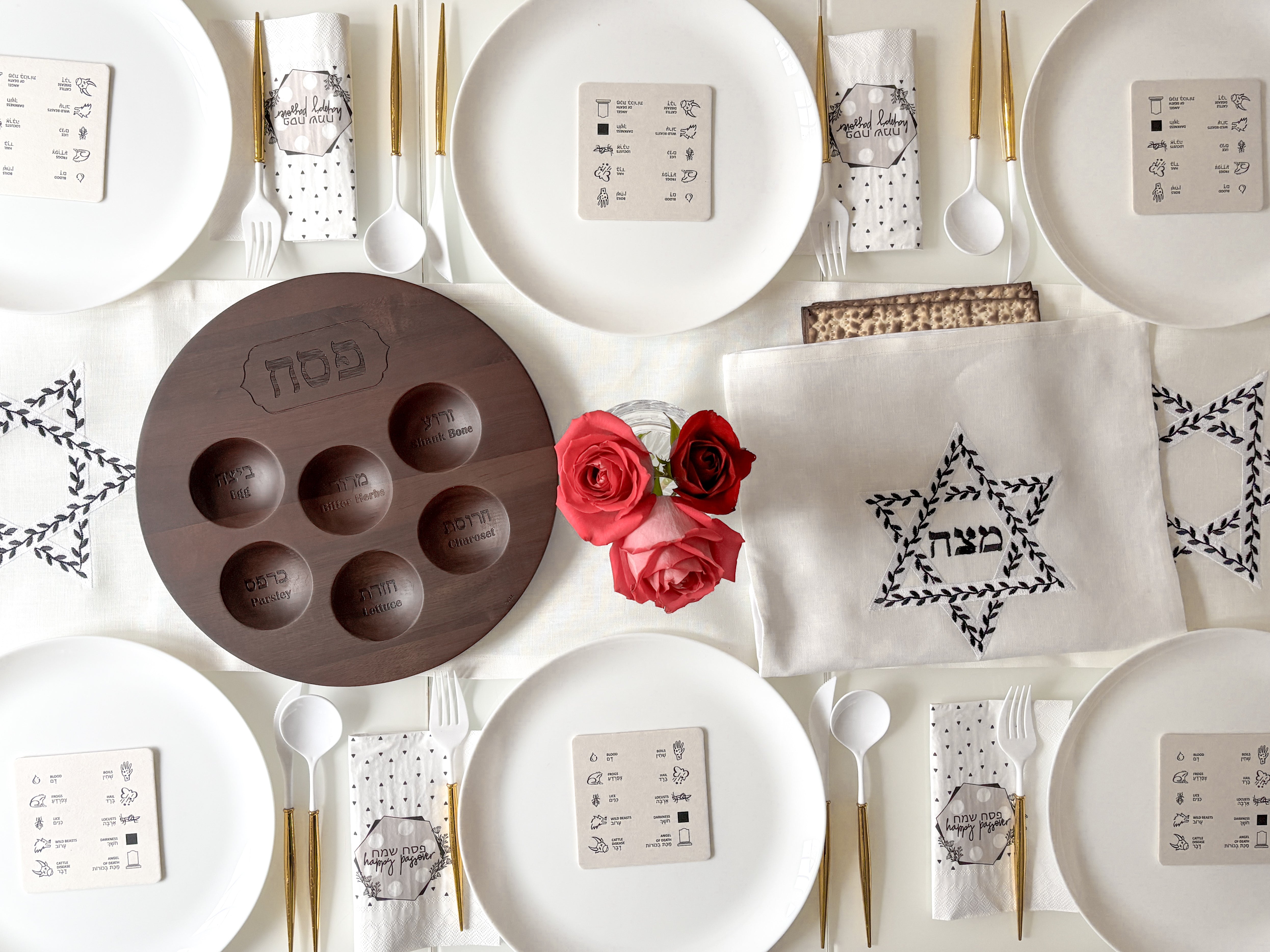 Passover Napkins, Ten Plague for Dipping, Passover Decorations/Gift- 20 Pack - Peace Love Light Shop
