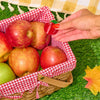 Rosh Hashanah Apple Hair Claw Clip