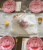 Rosh Hashanah Pomegranate Collection- Peace Love Light Shop