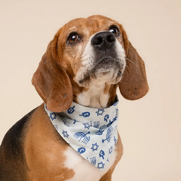 Hanukkah dog bandana- Peace Love Light Shop