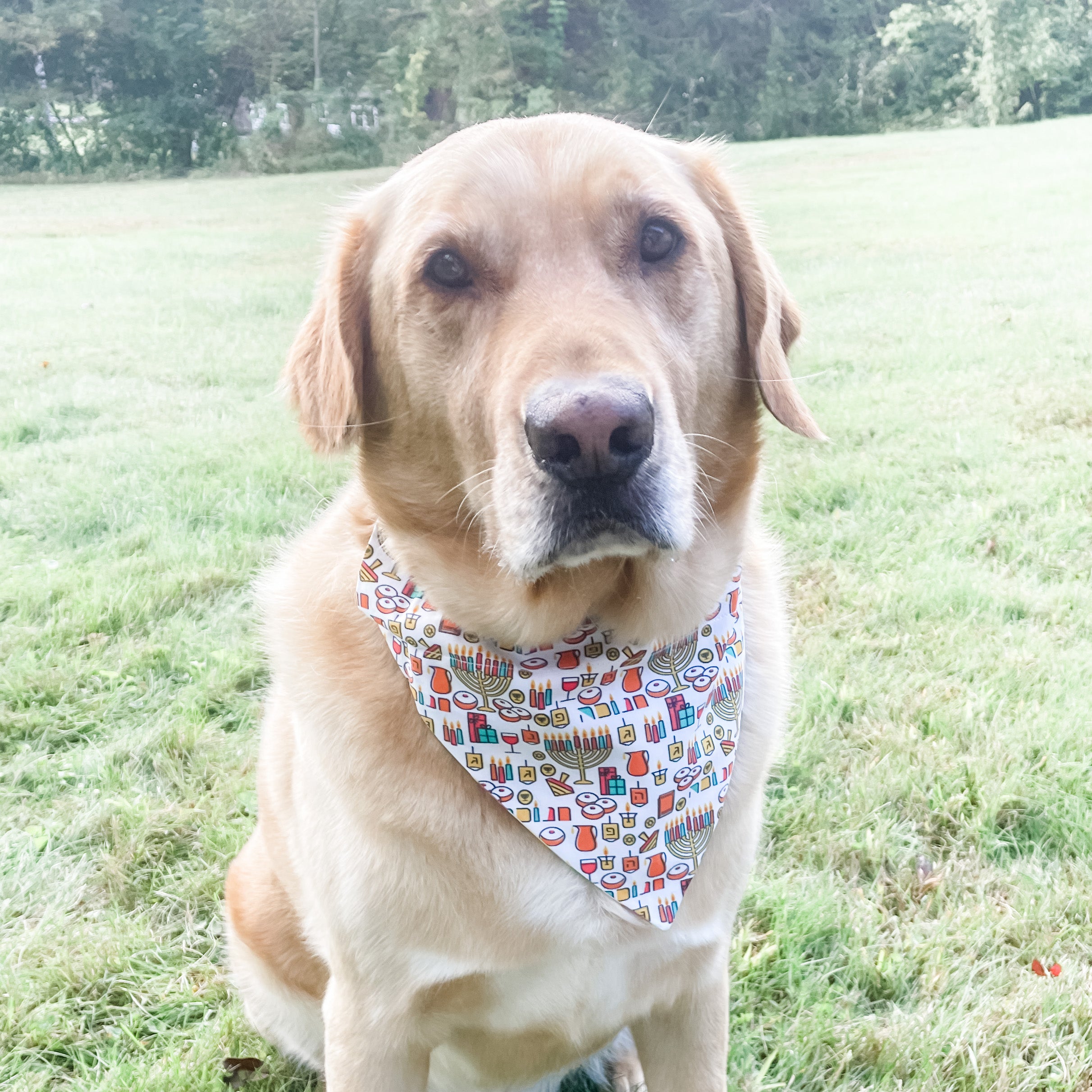 Hanukkah Reversible Dog Bandana- Peace Love Light Shop