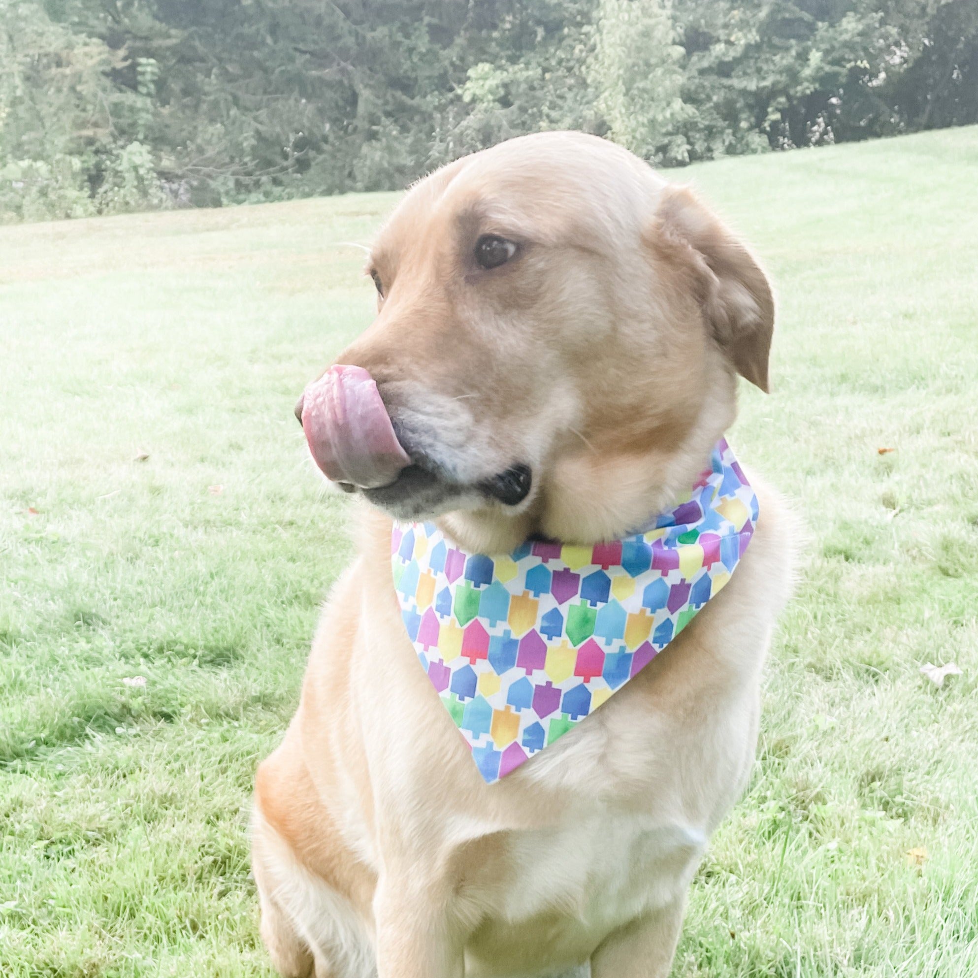 Hanukkah Reversible Dog Bandana- Peace Love Light Shop