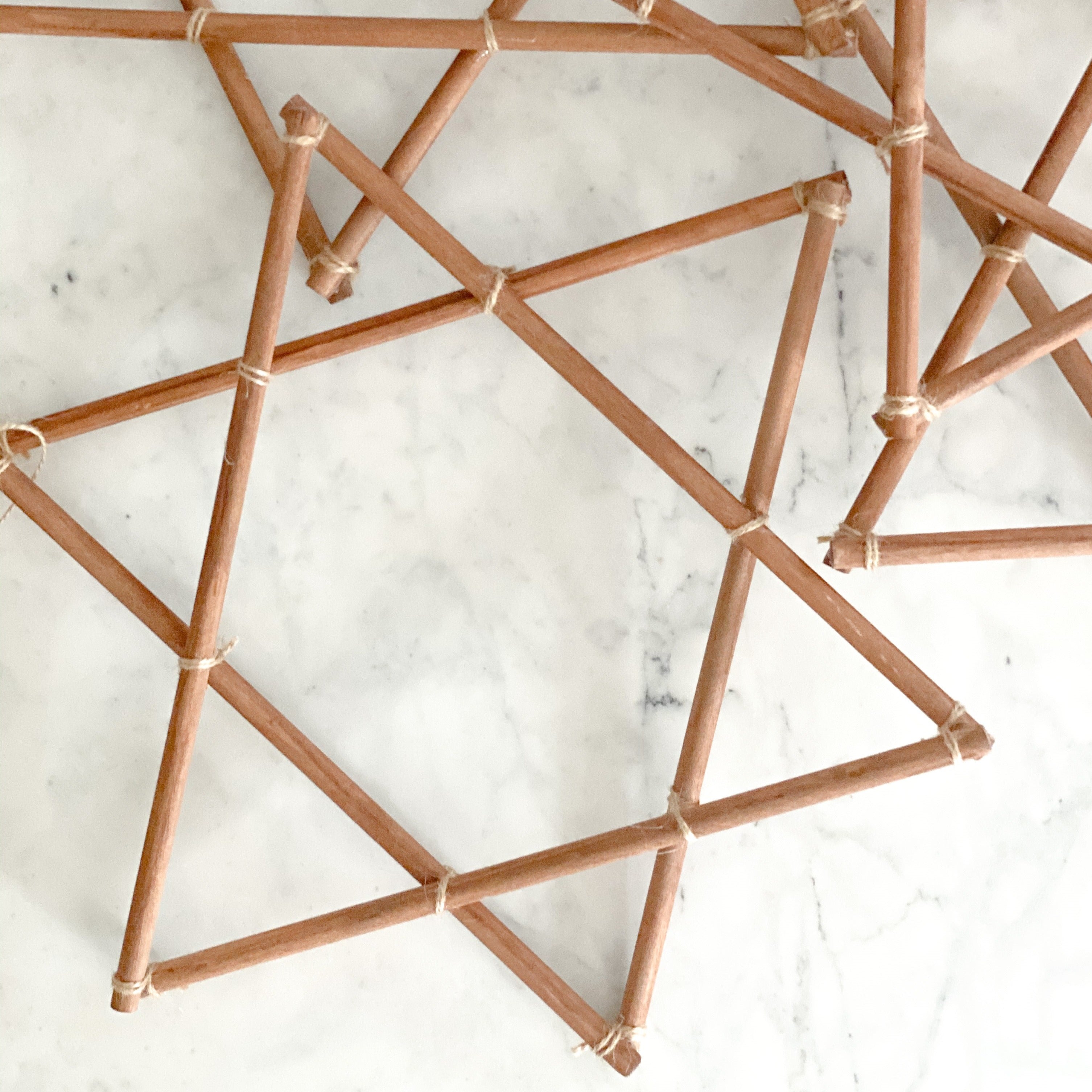 Star of David botanical, Hanukkah decoration- Peace Love Light Shop