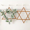 Star of David botanical, Hanukkah decoration- Peace Love Light Shop