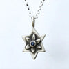 Star of David Botanical Necklace, Sterling Silver- Peace Love Light Shop