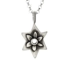 Jewish Star Botanical Necklace, Sterling Silver