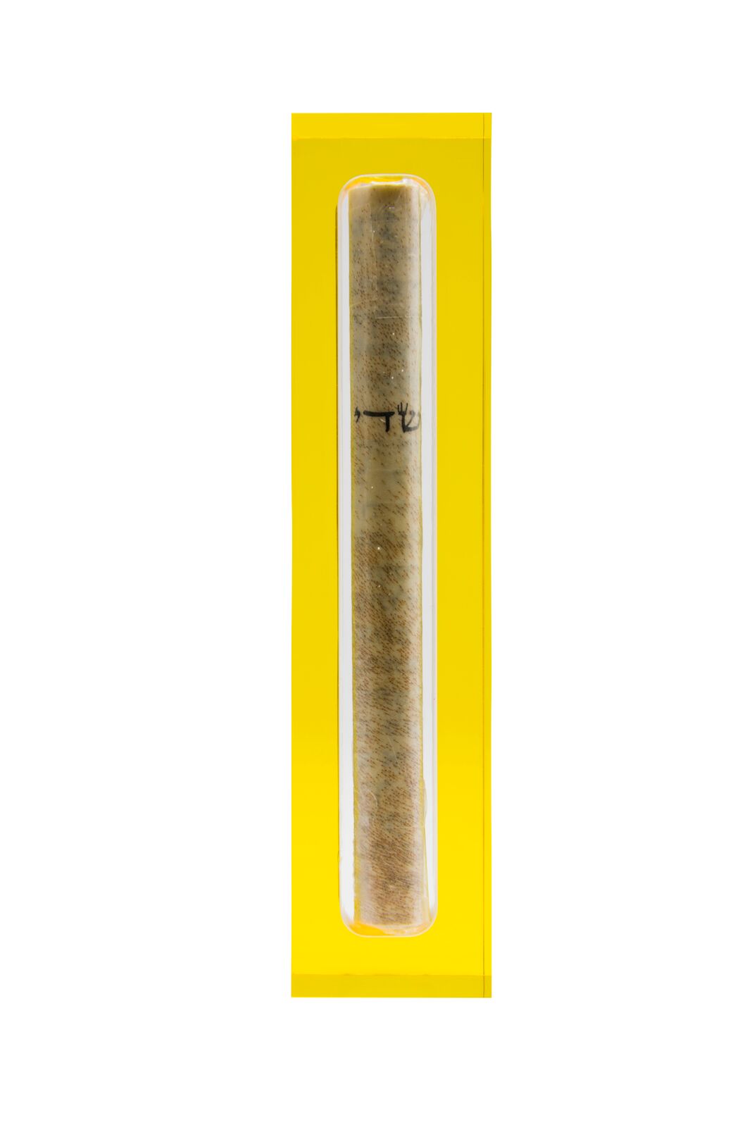 Modern Acrylic Mezuzah- Small - Peace Love Light Shop